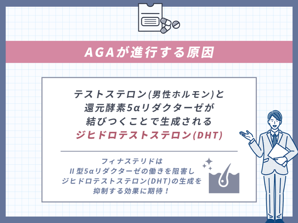 抜け毛や薄毛予防として5α還元酵素II型の働きを阻害する効果に期待